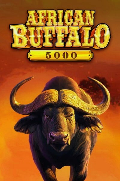 Slot African Buffalo 5000 w Cleobetra Casino